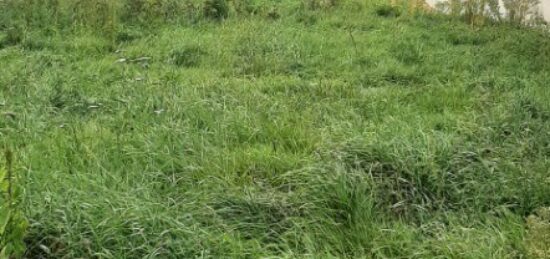 Terrain à bâtir à , Sarthe