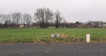 Longnes Maison neuve - 2325751-6170annonce120251102NTDvs.jpeg Maine Construction