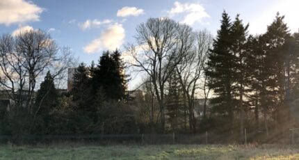 Le Mans Maison neuve - 2433838-3488annonce1202602187TC2t.jpeg Maine Construction