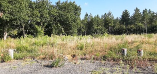 Terrain à bâtir à Ardenay-sur-Mérize, Pays de la Loire