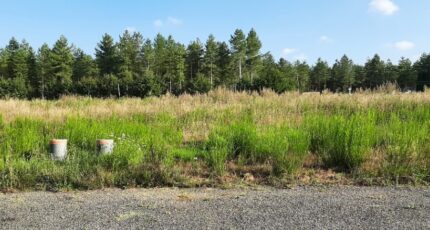 Ardenay-sur-Mérize Maison neuve - 2451384-6170annonce220260309uEwpG.jpeg Maine Construction