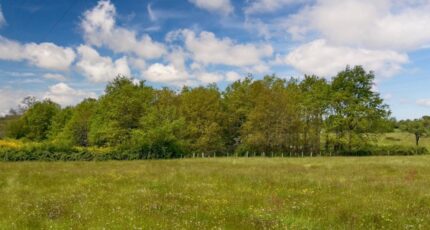 Yvré-l'Évêque Maison neuve - 2453201-6170annonce220260311dEC1v.jpeg Maine Construction