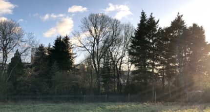 Fatines Maison neuve - 2614947-3488annonce120260901uAVTs.jpeg Maine Construction