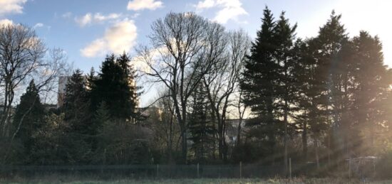 Terrain à bâtir à Savigné-l'Évêque, Pays de la Loire