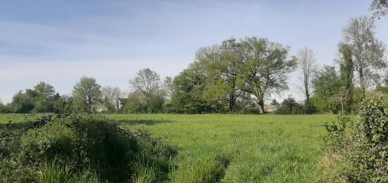 Terrain à bâtir à Savigné-l'Évêque, Pays de la Loire